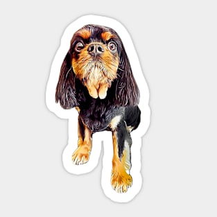 Cavalier King Charles Spaniel Black and Tan Sticker